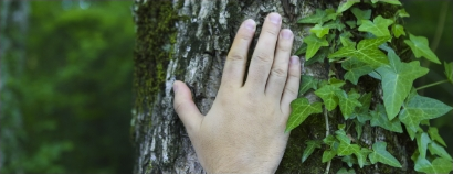 Environment